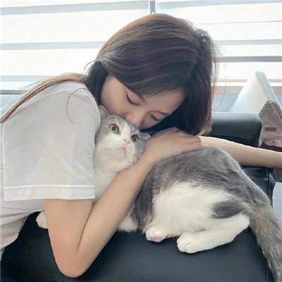 老木的秘密