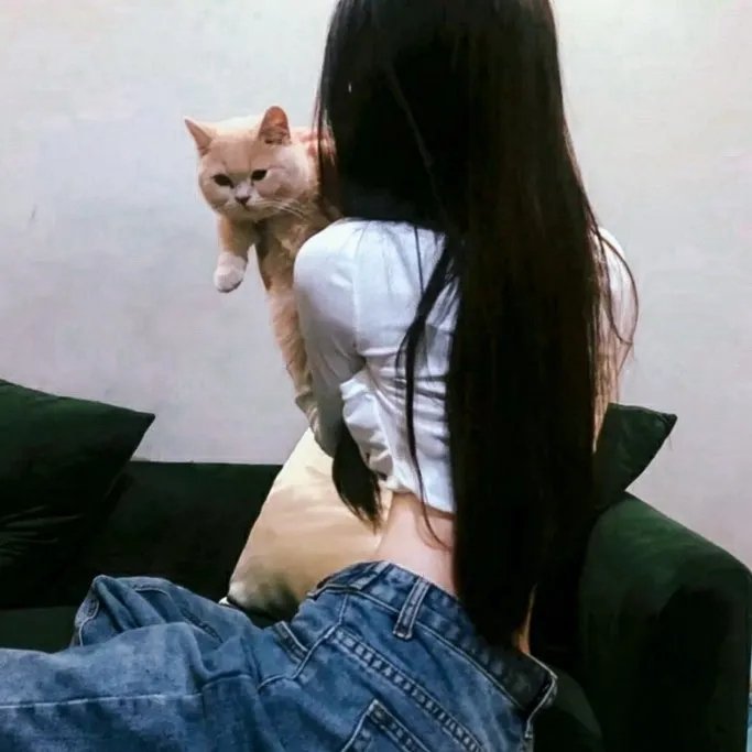 战地情莺