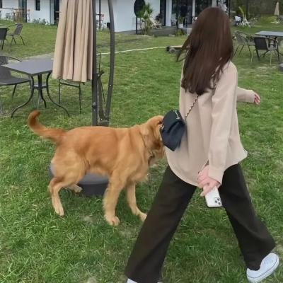 妙手小贼王