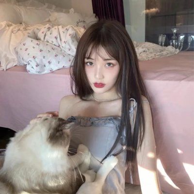 继承者风云