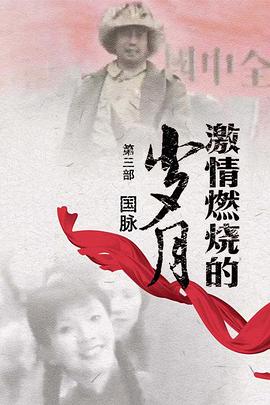 难兄难弟之神探李奇粤语 封面图